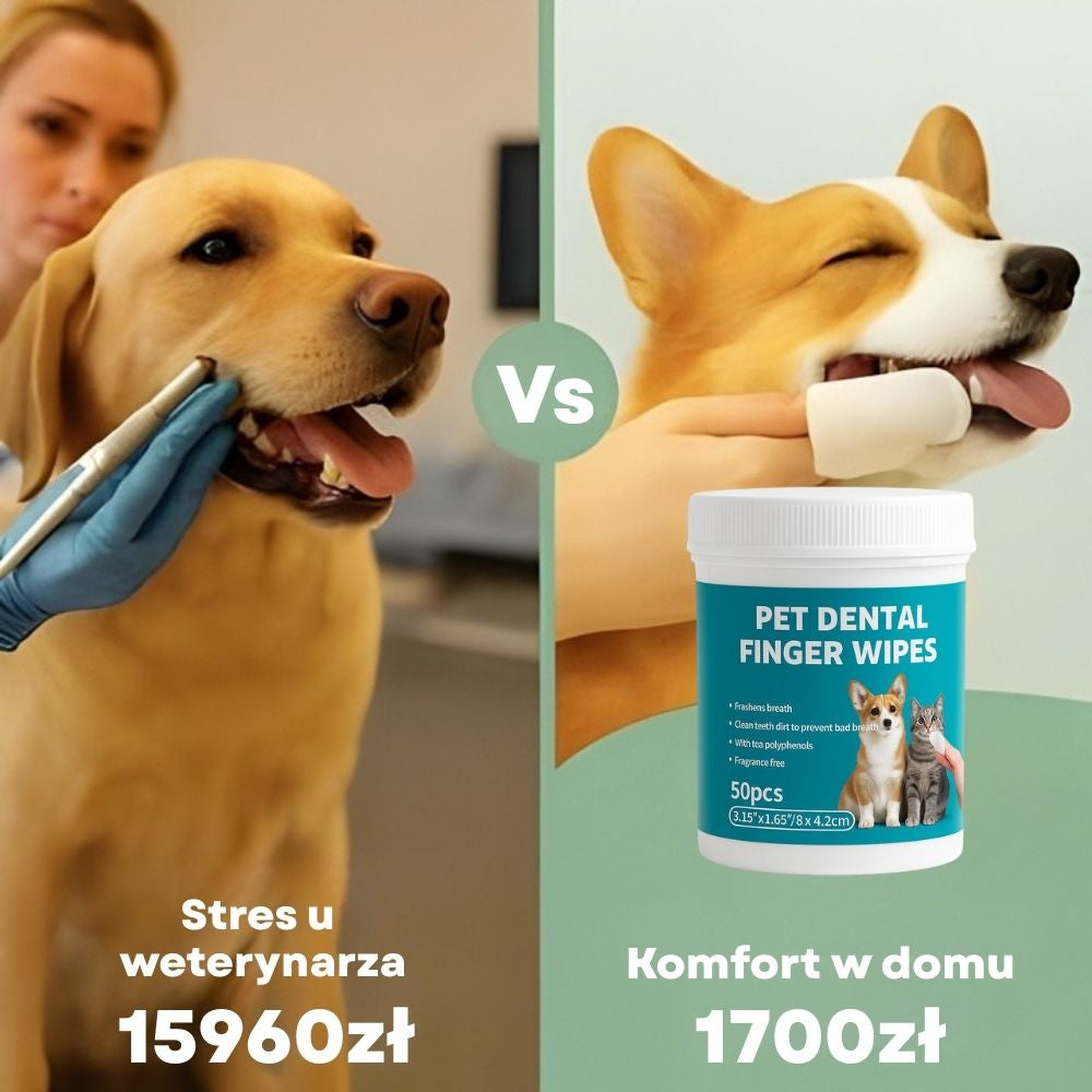 DentaFresh – Chusteczki do Czyszczenia i Ochrony Zębów dla Psów
