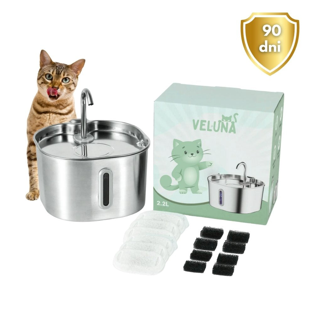 Fontanna wodna dla kotów