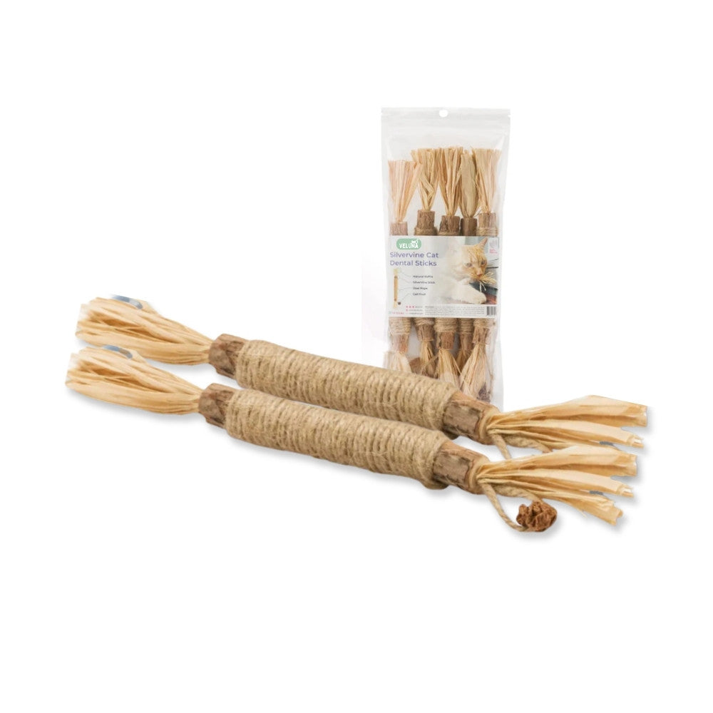 Patyczki dentystyczne z Silvervine dla kotów