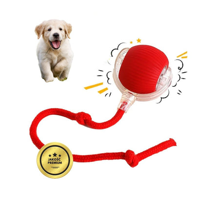 SmartCahse - Inteligentna i interaktywna piłka dla psa