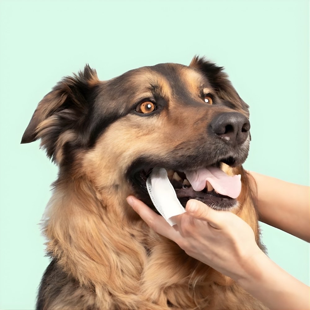 DentaFresh – Chusteczki do Czyszczenia i Ochrony Zębów dla Psów