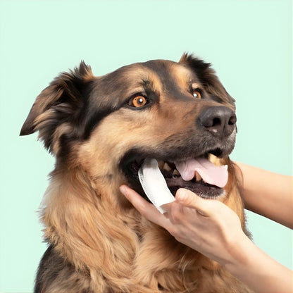 DentaFresh – Chusteczki do Czyszczenia i Ochrony Zębów dla Psów