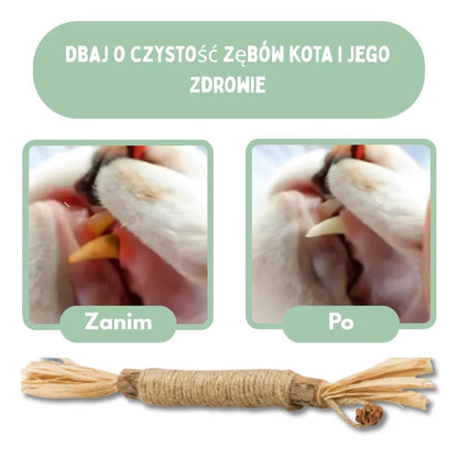 Patyczki dentystyczne z Silvervine dla kotów
