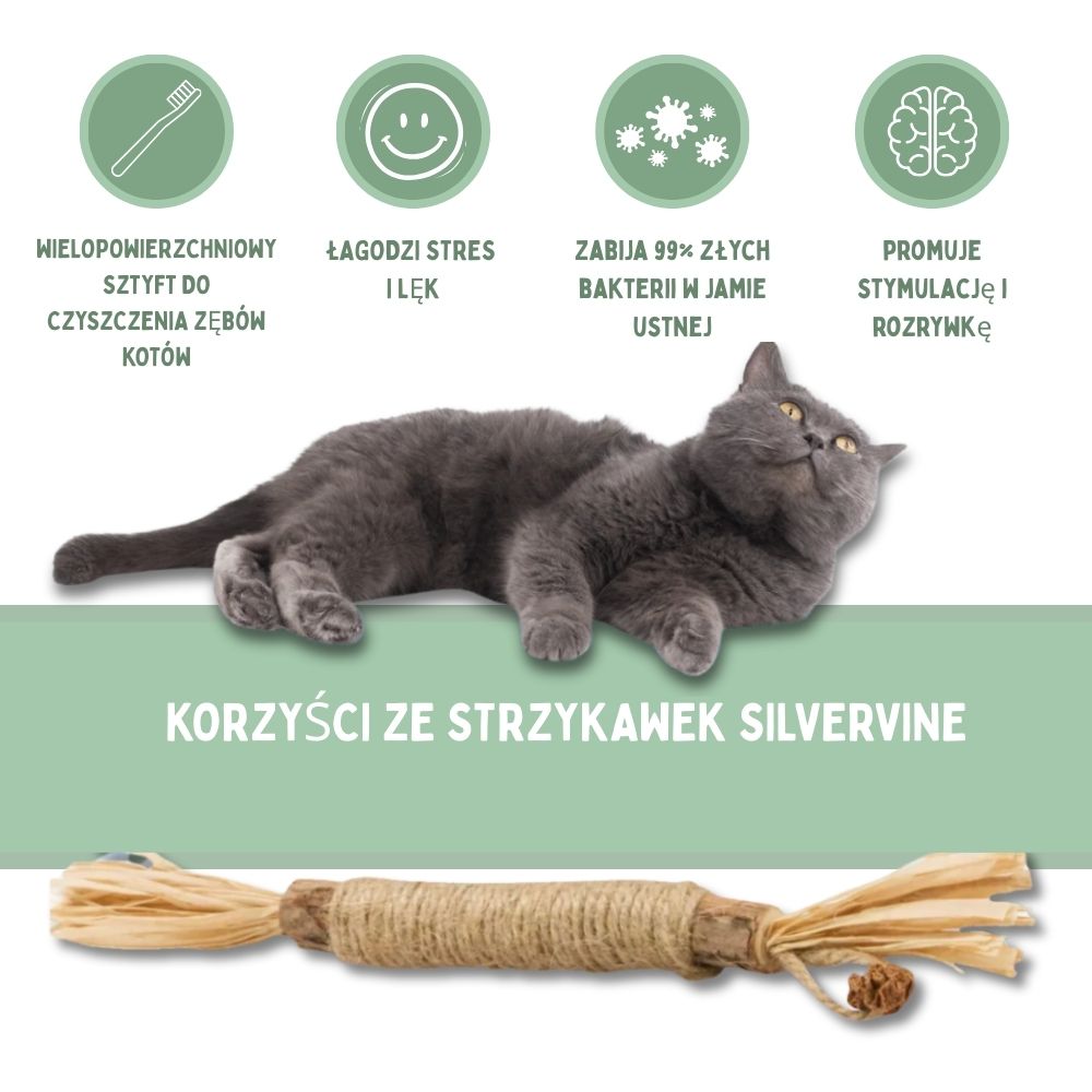 Patyczki dentystyczne z Silvervine dla kotów
