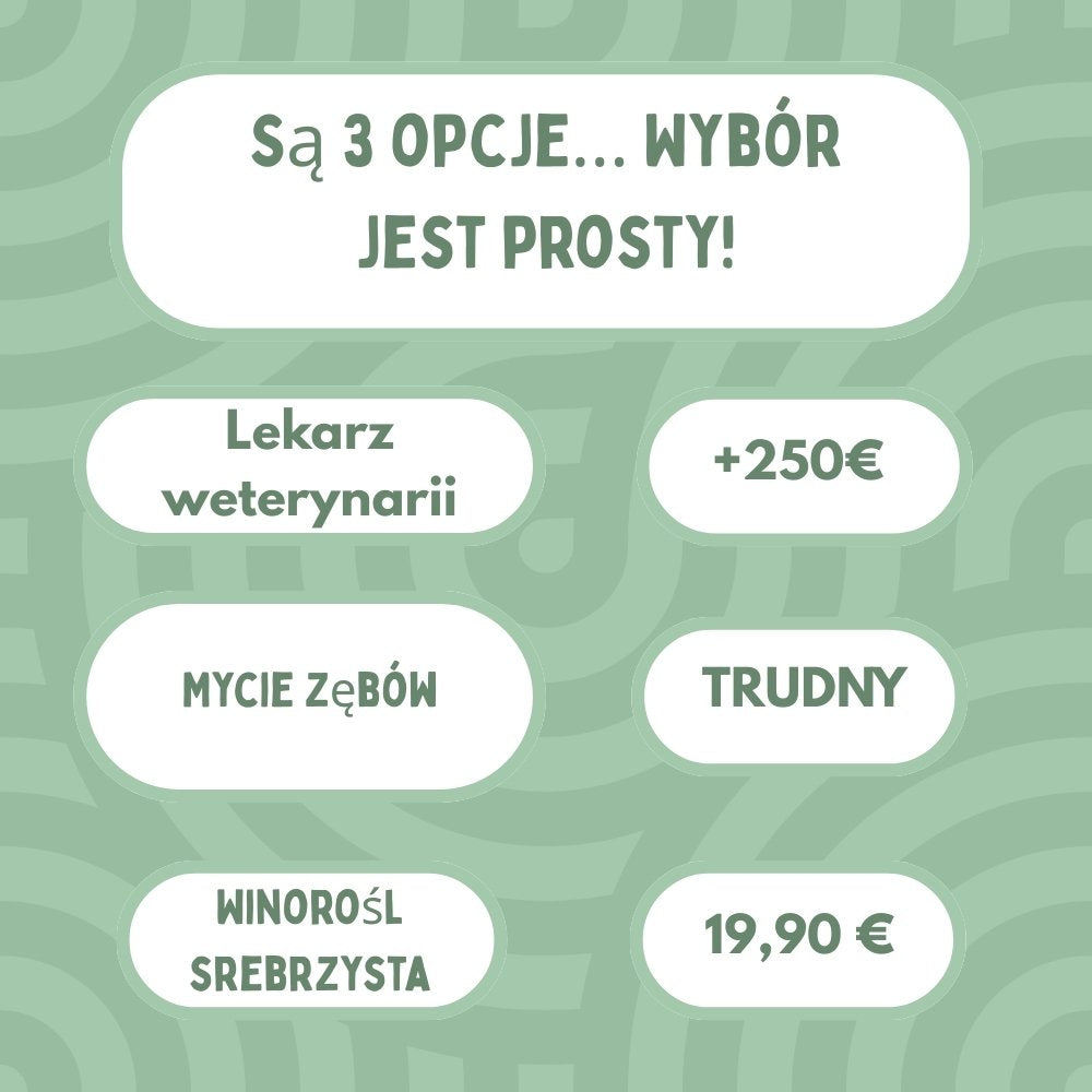 Patyczki dentystyczne z Silvervine dla kotów