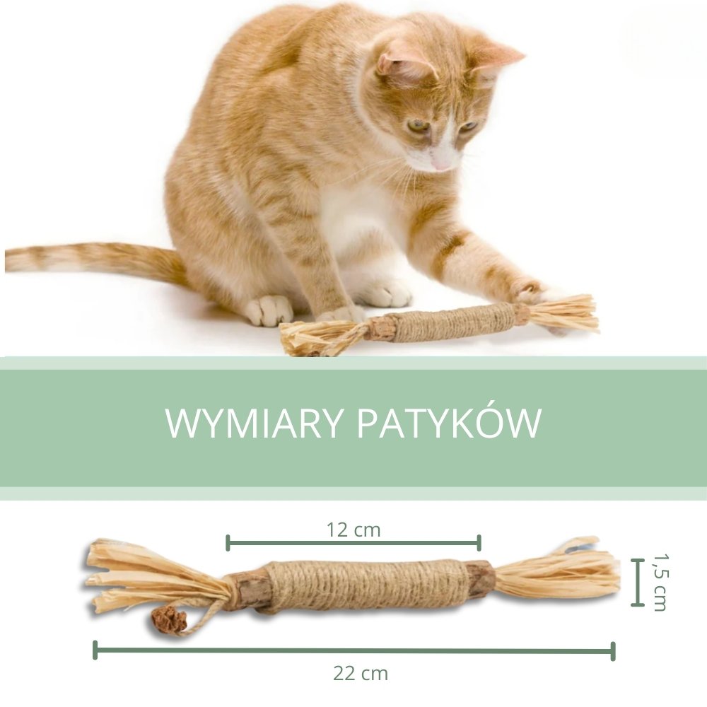 Patyczki dentystyczne z Silvervine dla kotów