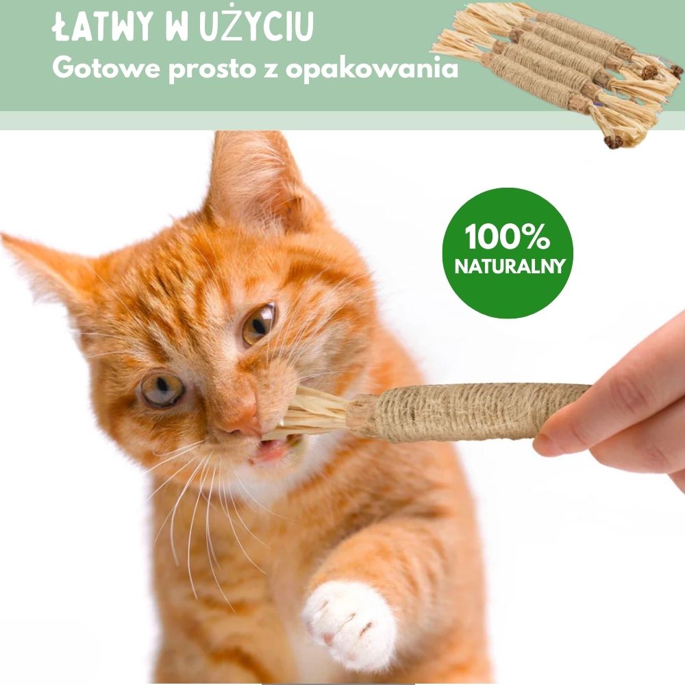 Patyczki dentystyczne z Silvervine dla kotów