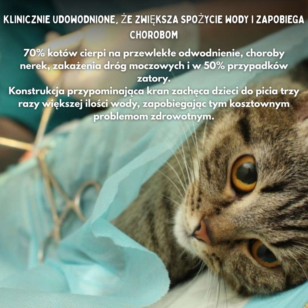 Fontanna wodna dla kotów