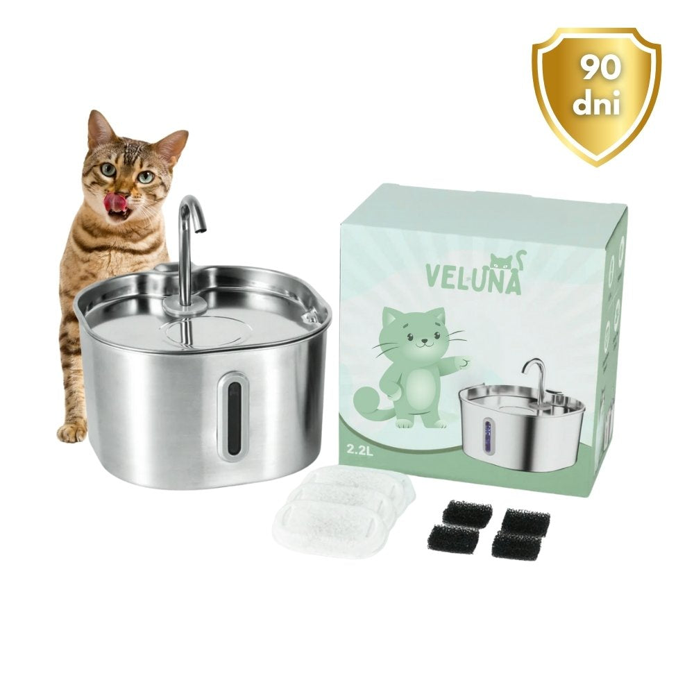 Fontanna wodna dla kotów