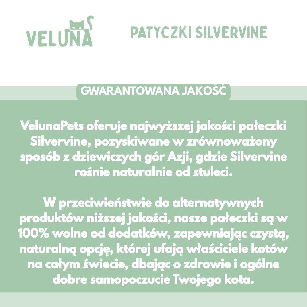 Patyczki dentystyczne z Silvervine dla kotów