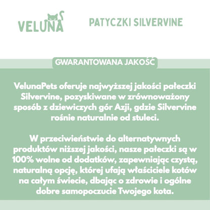 Patyczki dentystyczne z Silvervine dla kotów