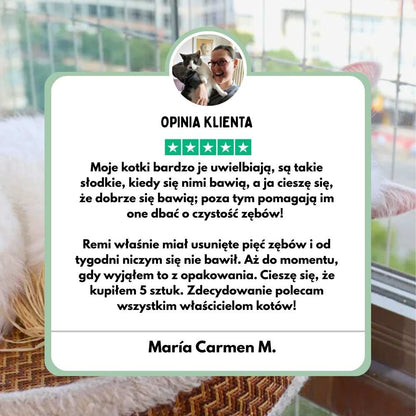 Patyczki dentystyczne z Silvervine dla kotów