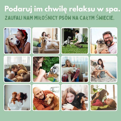 Wielofunkcyjna szczotka parowa 4 w 1 dla psów