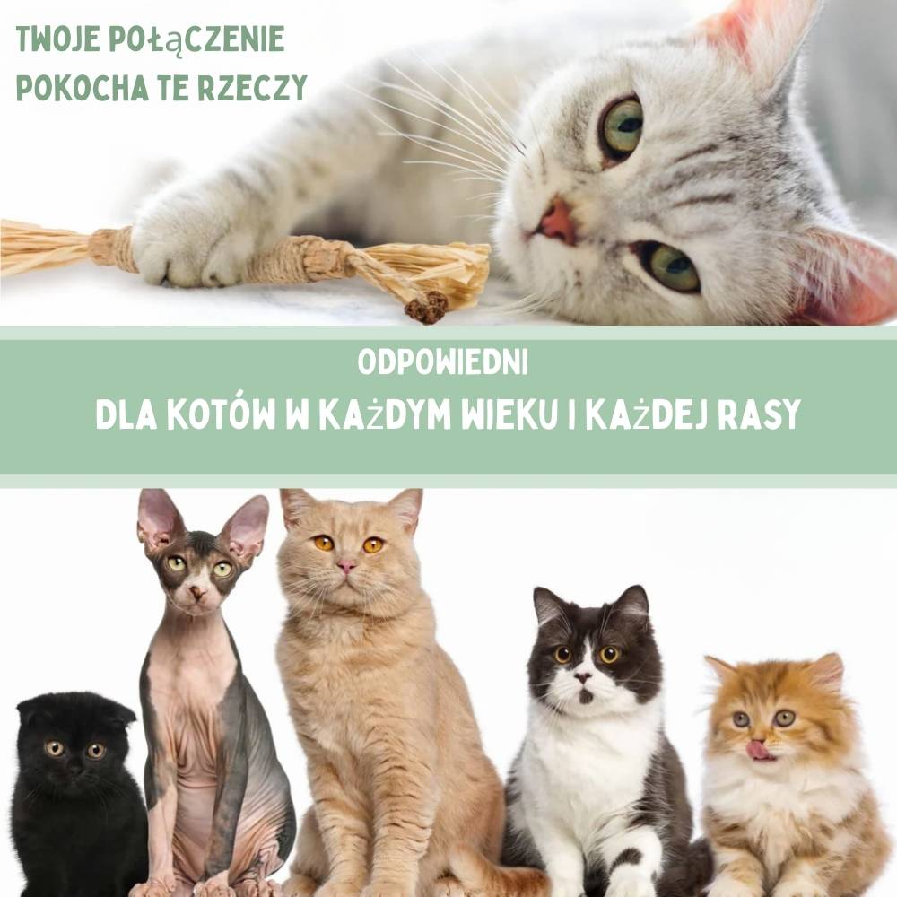 Patyczki dentystyczne z Silvervine dla kotów