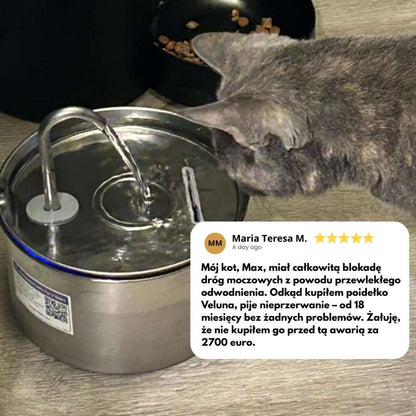 Fontanna wodna dla kotów