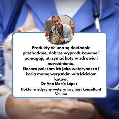 Fontanna wodna dla kotów