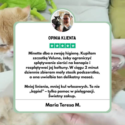 Wielofunkcyjna szczotka parowa 4-w-1 dla kotów