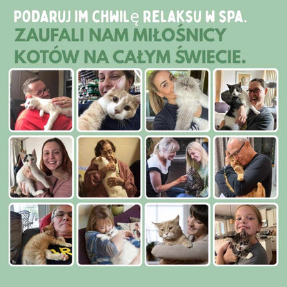 Interaktywna drapaczka dla kotów z dołączoną piłeczką