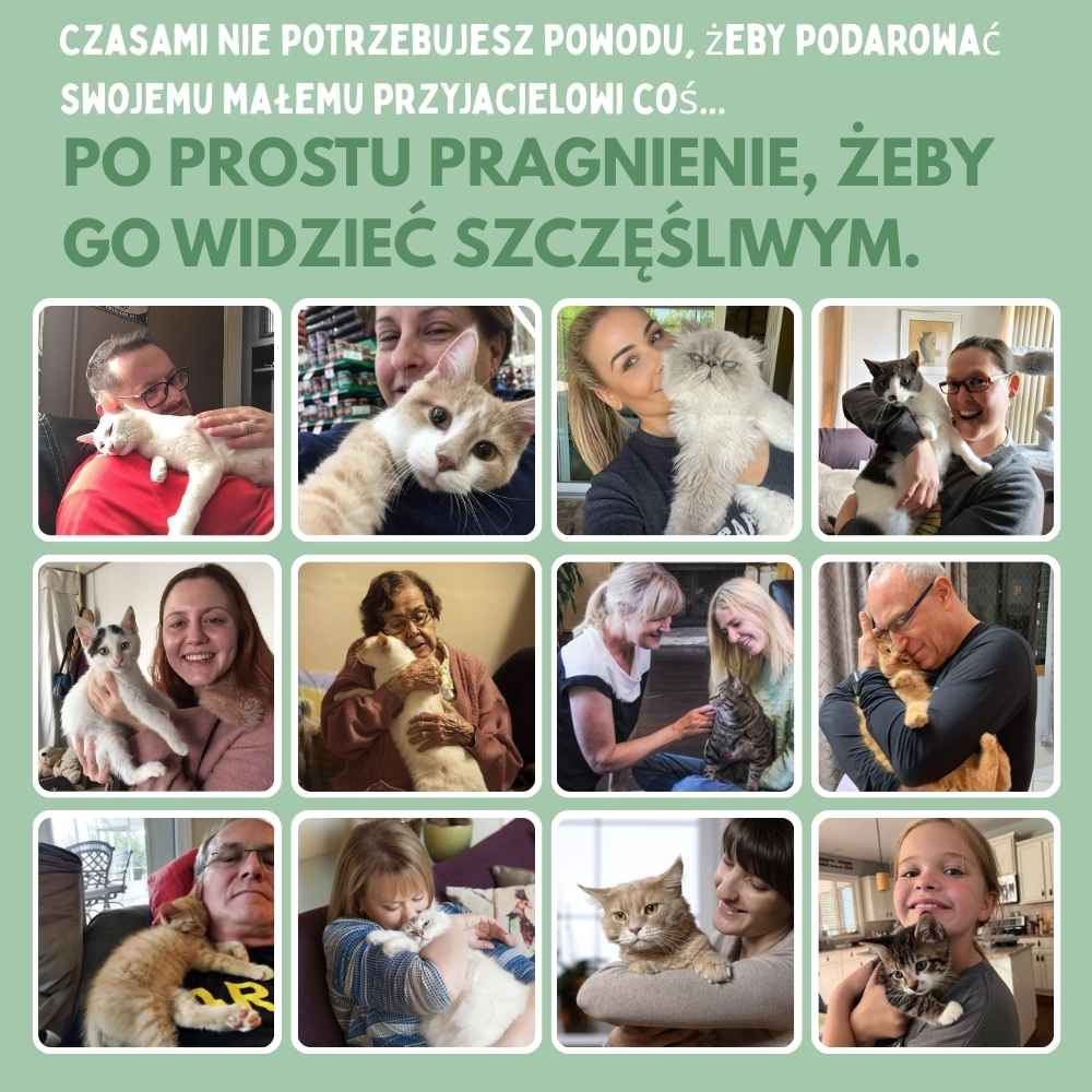 Interaktywna zabawka dla kotów z piórkami, zawieszona i odbijająca się