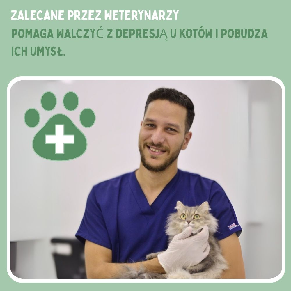 Interaktywna zabawka dla kotów