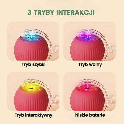 SmartCahse - Inteligentna i interaktywna piłka dla psa