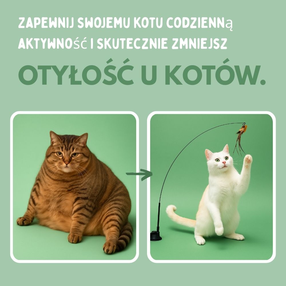 Interaktywna zabawka dla kotów z piórkami, zawieszona i odbijająca się