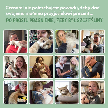 SmartChase - Inteligentna piłka dla kotów