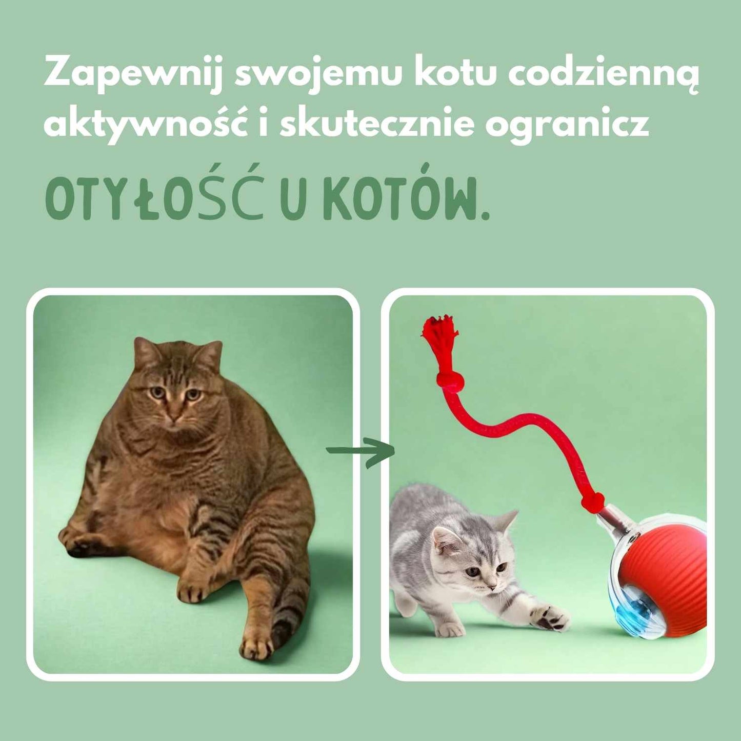 SmartChase - Inteligentna piłka dla kotów