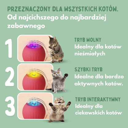 SmartChase - Inteligentna piłka dla kotów